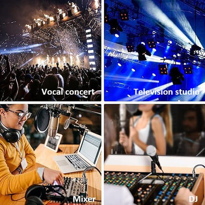 10FT XLR Mic Cable 3-Pin XLR Male to Female Microphone Audio Cable, Black Blue Tweed Braided Balanced DMX AMP Instrument Patch Cords for Mixing Boards, Speaker Systems, Pro Audio, Preamps - size: 10FT/3M